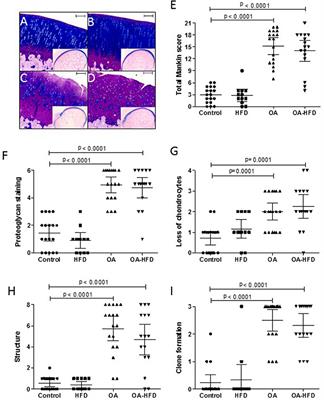 Modulation of the Inflammatory Process by Hypercholesterolemia in Osteoarthritis